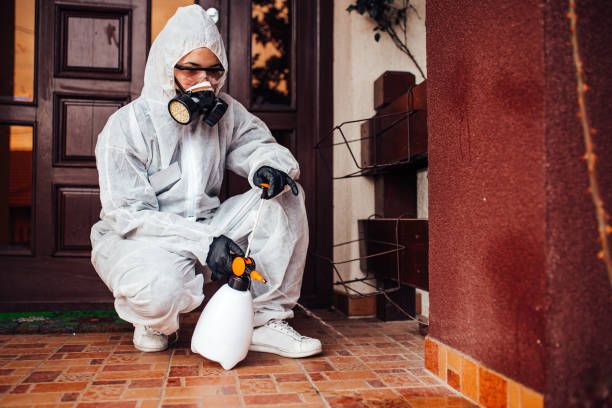 Reliable Cockroach Control contractor in Cleveland, GA by Nex Pest Control
